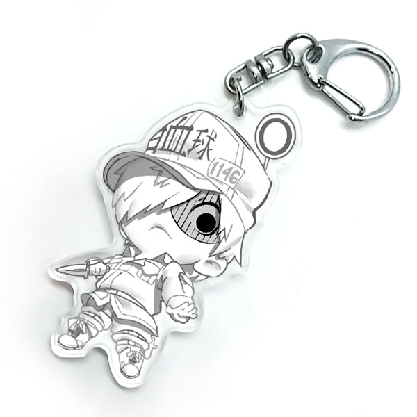 White Blood Cell
